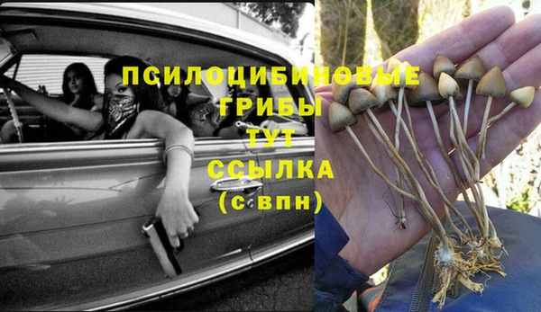 прущая мука Алексин